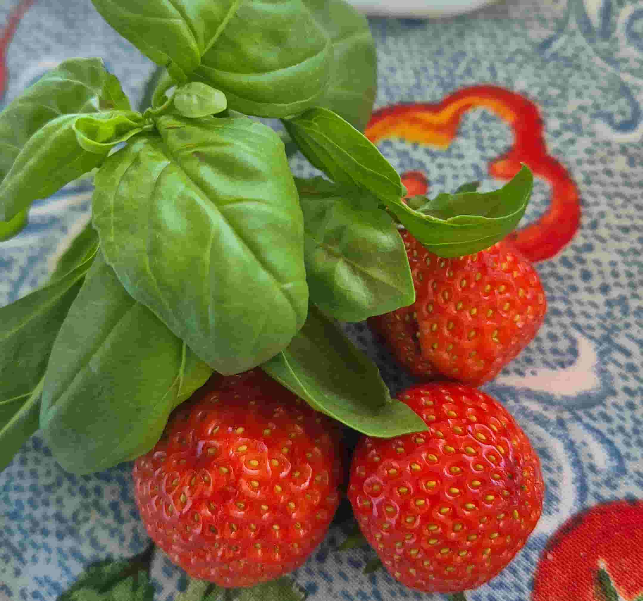 basil leaves next to freshly picked strawberries