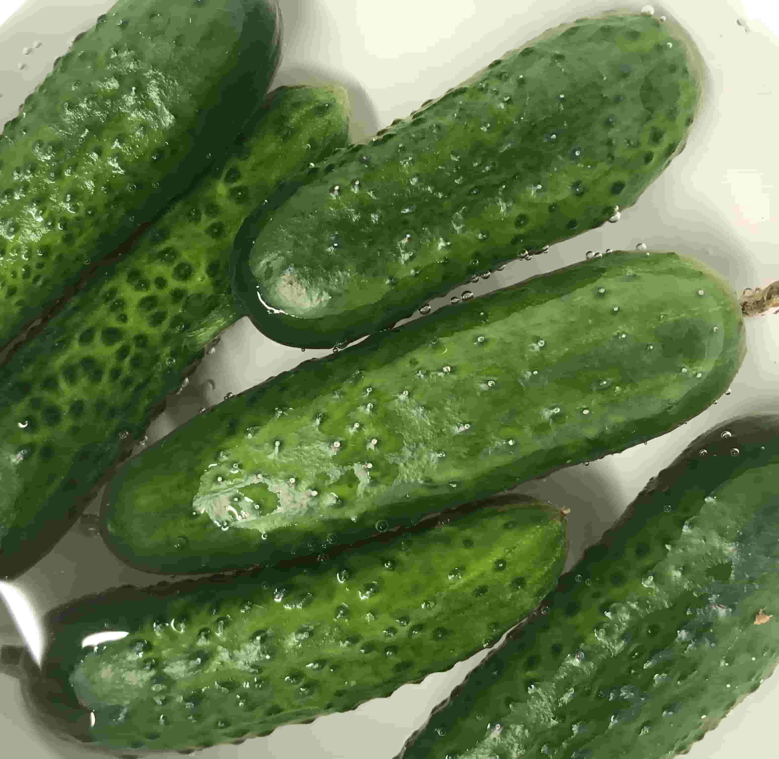 picked cucumbers in water